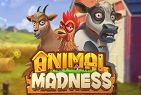 Animal Madness