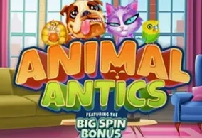 Animal Antics