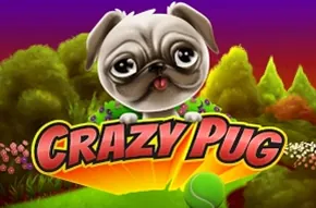 Crazy Pug